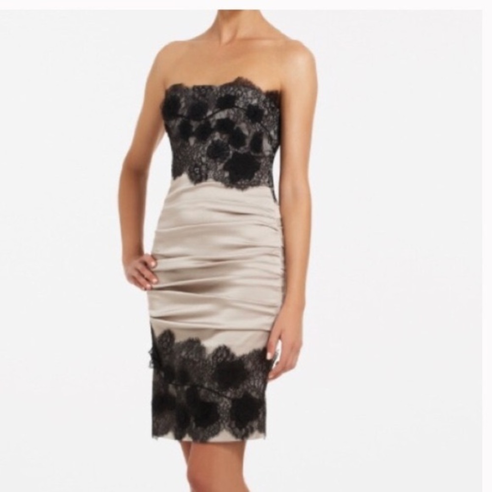 BCBGMAXAZRIA Natalya Champagne Cocktail Dress with Black Floral Detail Size 2